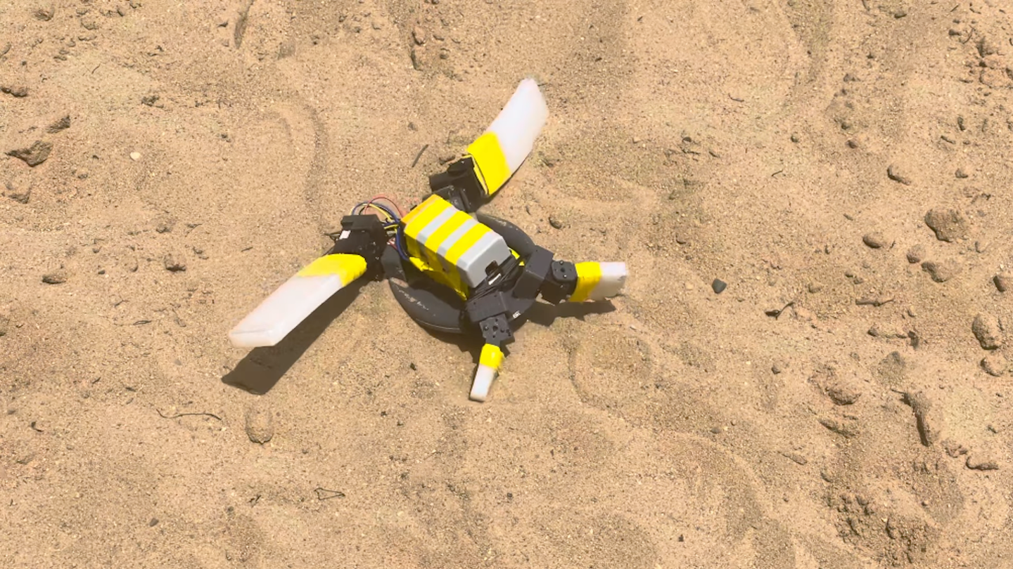 Sea turtle robot crawling across sand