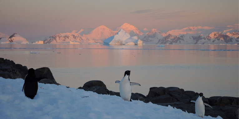 Antarctica is in the climate change crosshairs