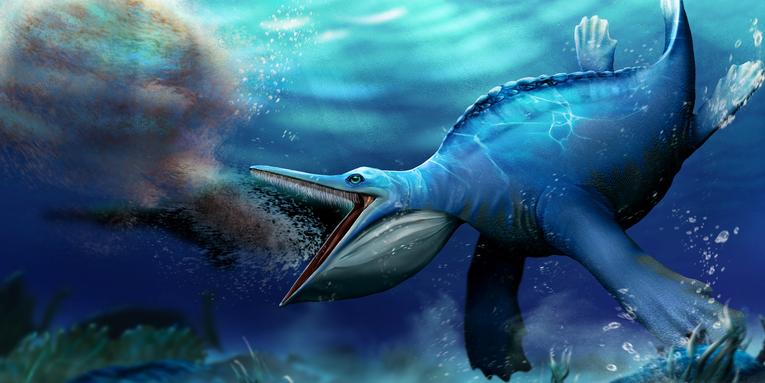 The planet’s first filter feeder could be this extinct marine reptile