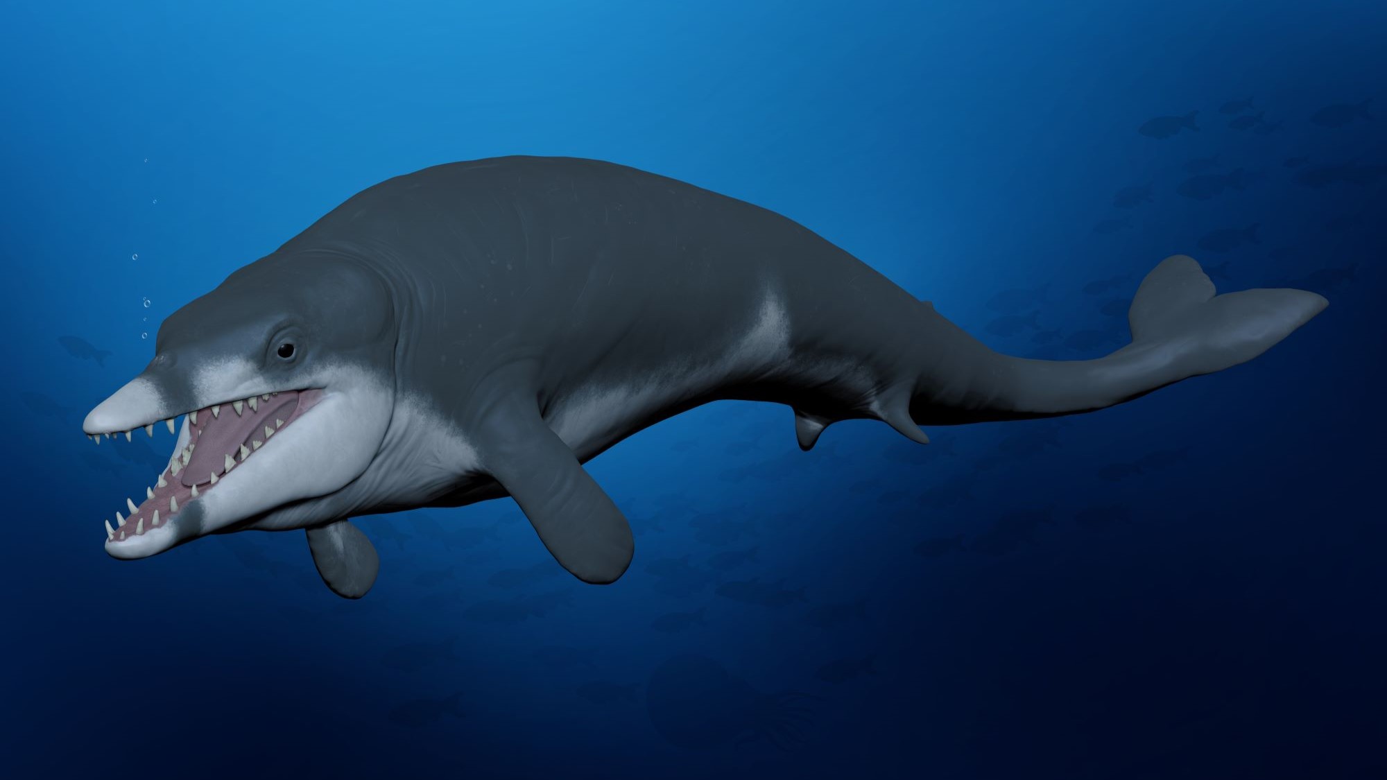This tiny, 8-foot long whale swam off Egypt’s coast 41 million years ago