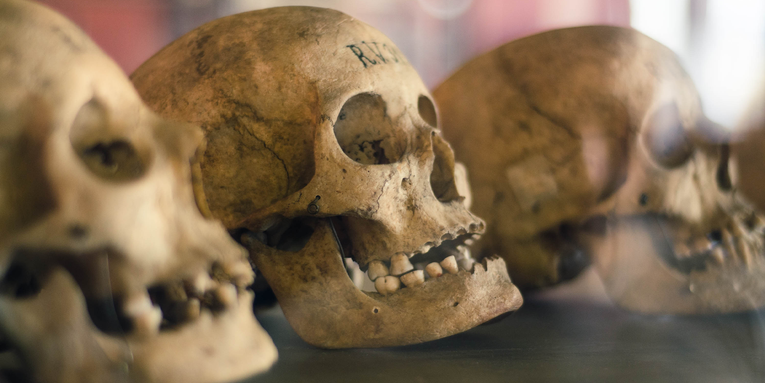 Japan’s Hirota people intentionally reshaped their skulls more than 1,000 years ago