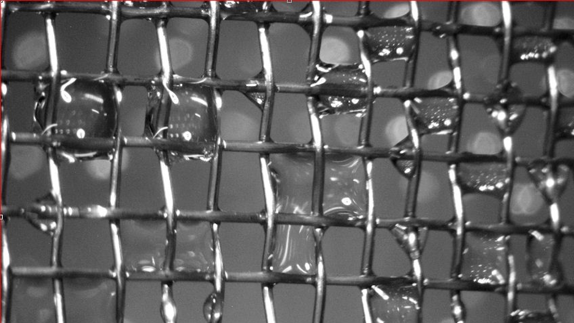 Metal mesh with water droplets
