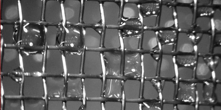 Titanium dioxide-coated mesh can purify contaminated fog