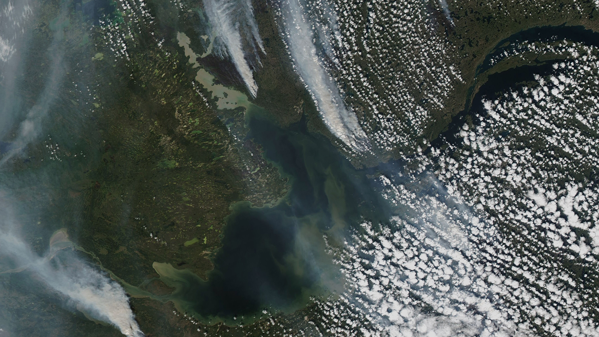 Wildfire smoke drifts over western Canada, as seen from a satellite. On August 8, 2023, the Moderate Resolution Imaging Spectroradiometer on NASA’s Aqua satellite captured this image of dense plumes of smoke streaming from dozens of large fires in the Northwest Territories. Several of these fires raged around Yellowknife, the province’s capital and largest city. These fires follow major outbreaks of fire in Alberta, British Columbia, Nova Scotia, and Quebec, in May, June, and July.