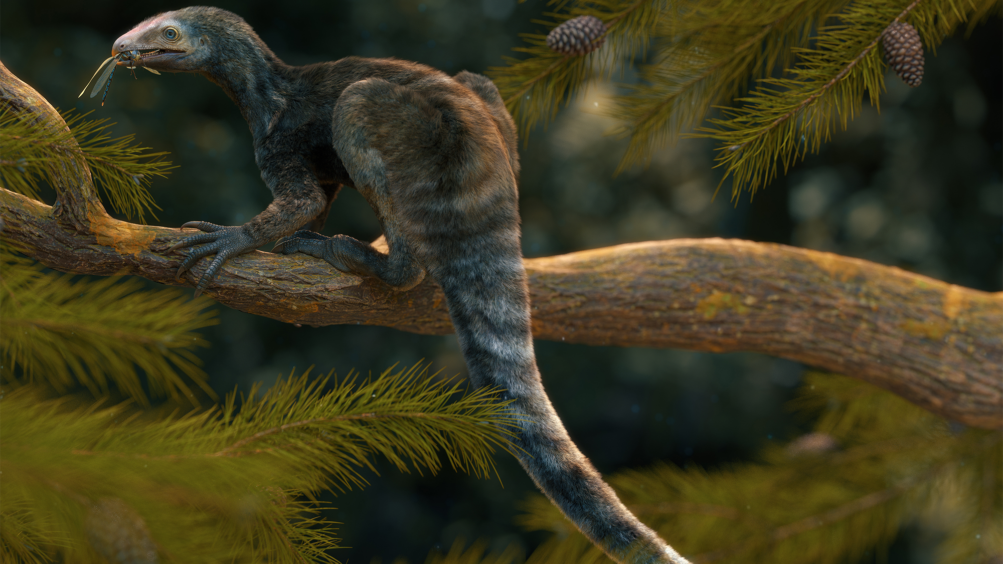 This flightless pterosaur ancestor had enviable claws and a raptor-like beak