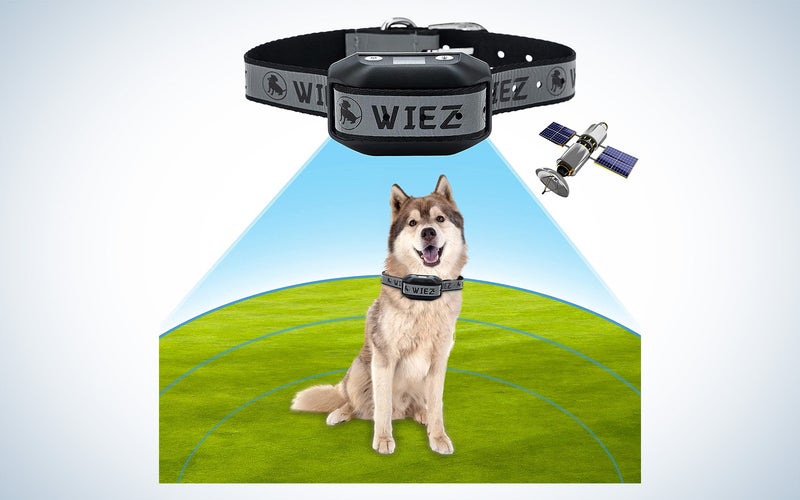 Wiez GPS wireless dog fence