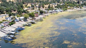 Inside the fight to reclaim California’s biggest freshwater lake from algae