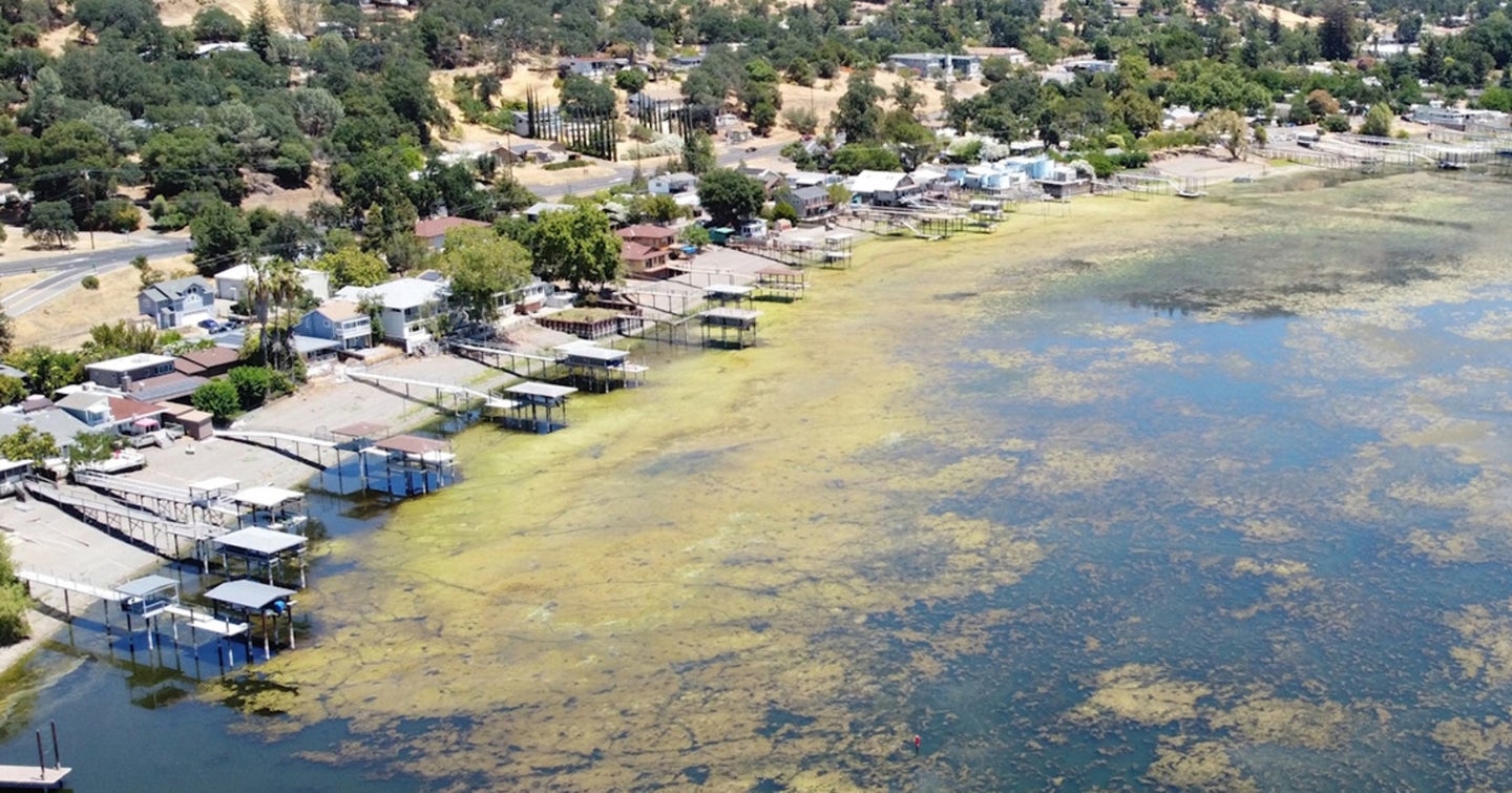 The impact of harmful algal blooms ranges from disruptive to deadly.