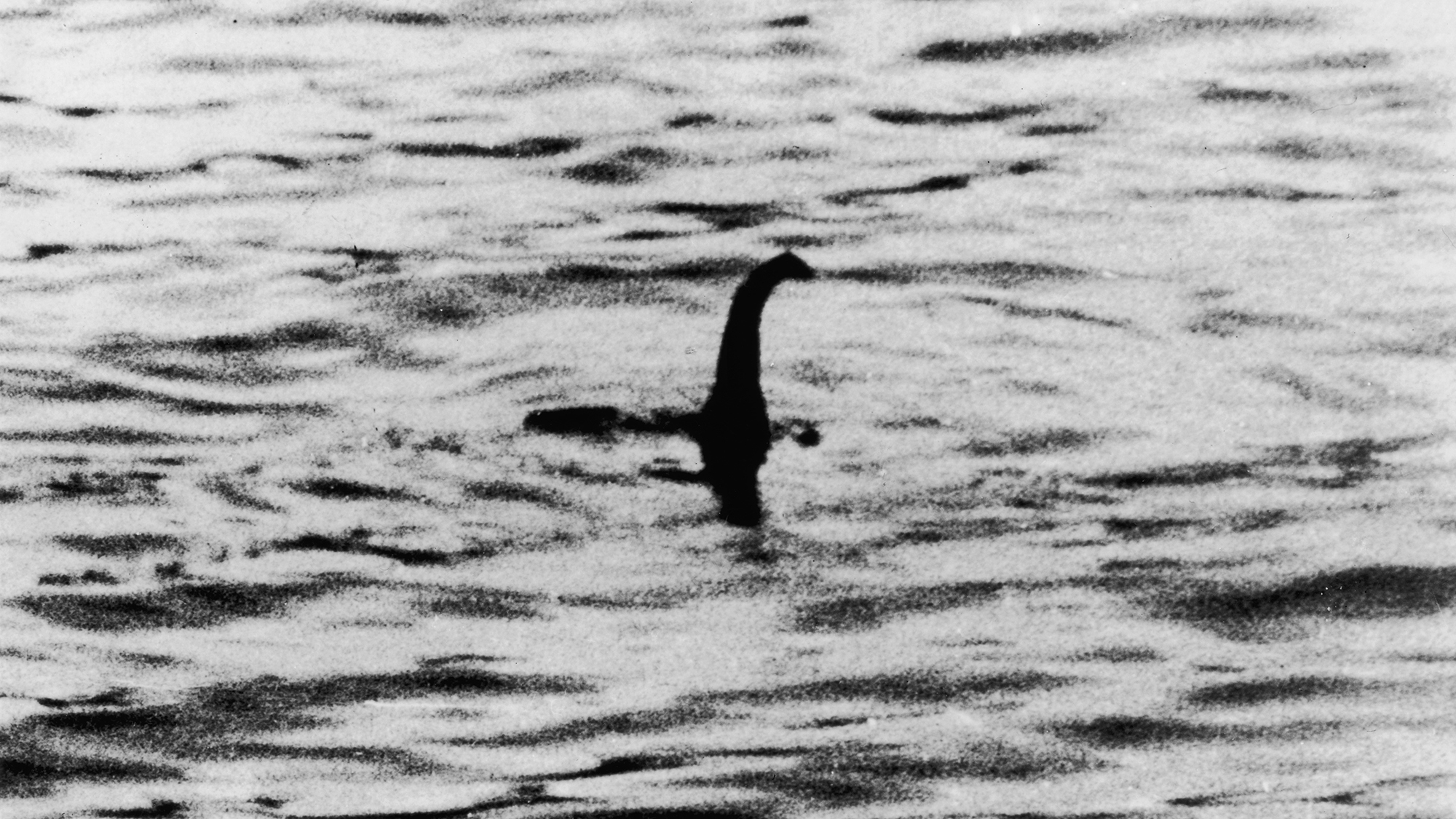 The largest search of Loch Ness in more than 50 years will deploy drones and hydrophones