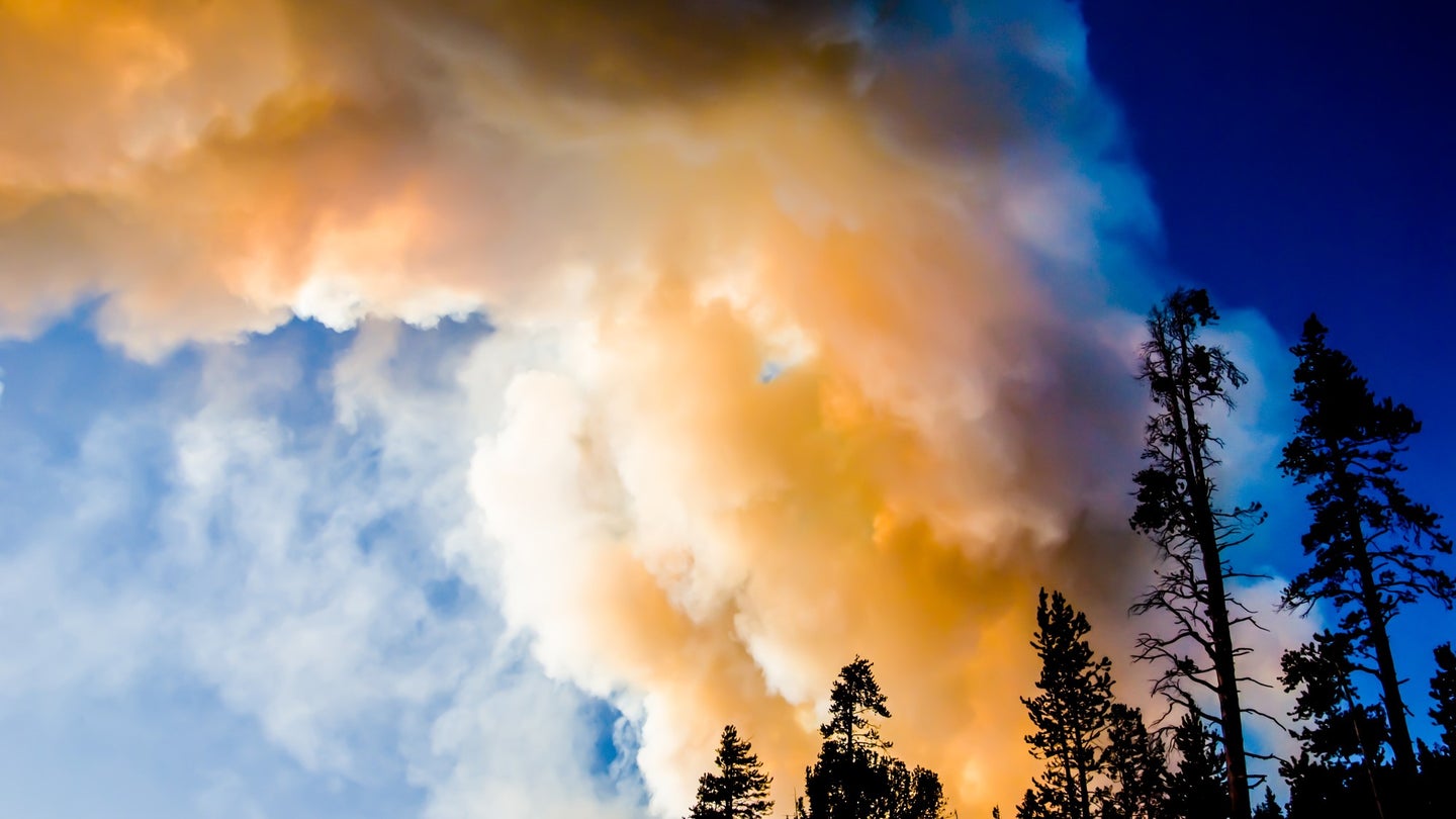 A billowing cloud of white, orange, and brown smoke behind fir trees.
