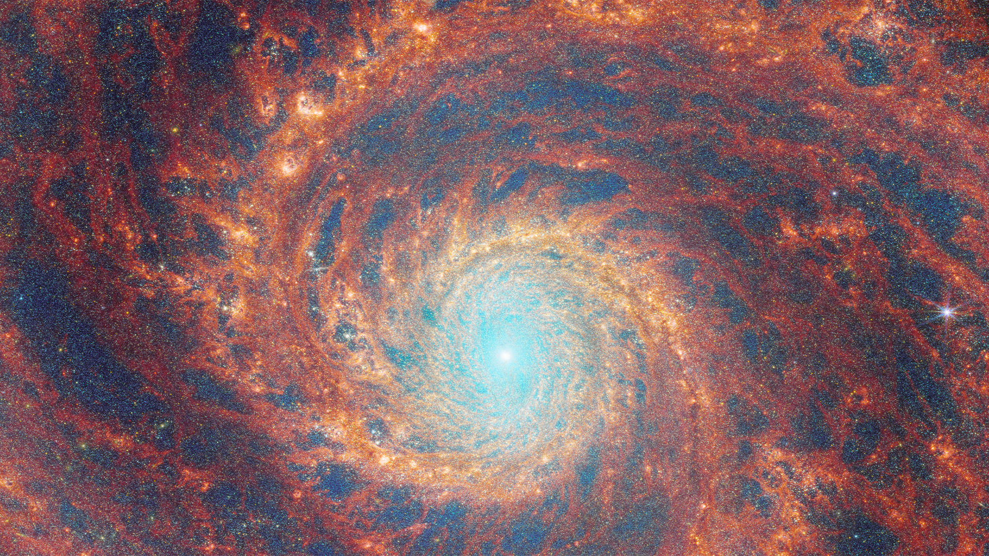 A large spiral galaxy takes up the entirety of the image. The core is mostly bright white, but there are also swirling, detailed structures that resemble water circling a drain. There is white and pale blue light that emanates from stars and dust at the core’s center, but it is tightly limited to the core. The rings feature colors of deep red and orange and highlight filaments of dust around cavernous black bubbles.