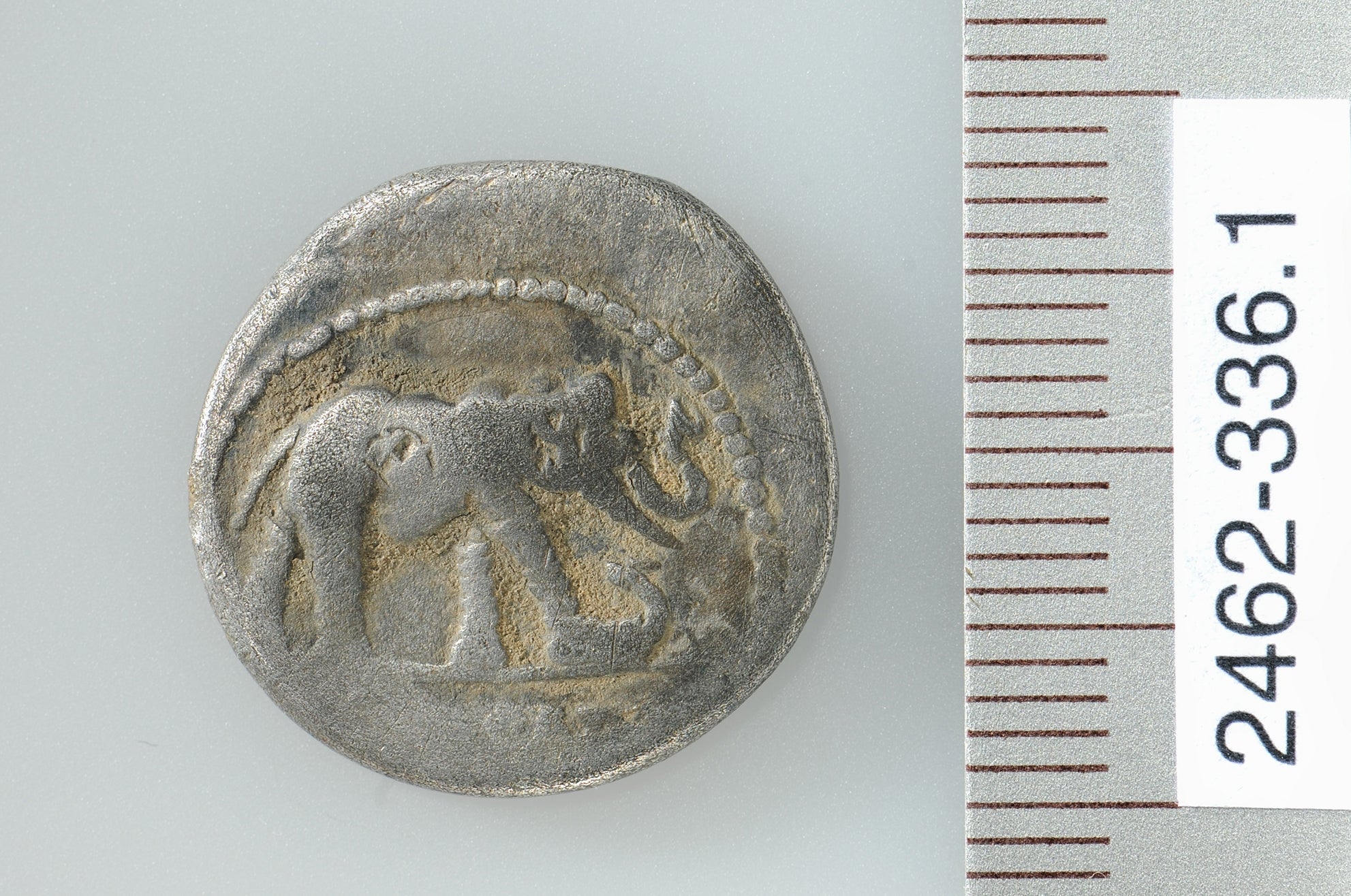 In addition to copper and bronze coins, a silver coin (denarius) of Julius Caesar from the 1st century BCe was also found.The face of the coin shows an elephant trampling on a dragon or snake. CREDIT: ADA Zug, Res Eichenberger.