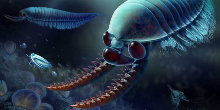 A three-eyed organism roamed the seas half a billion years ago