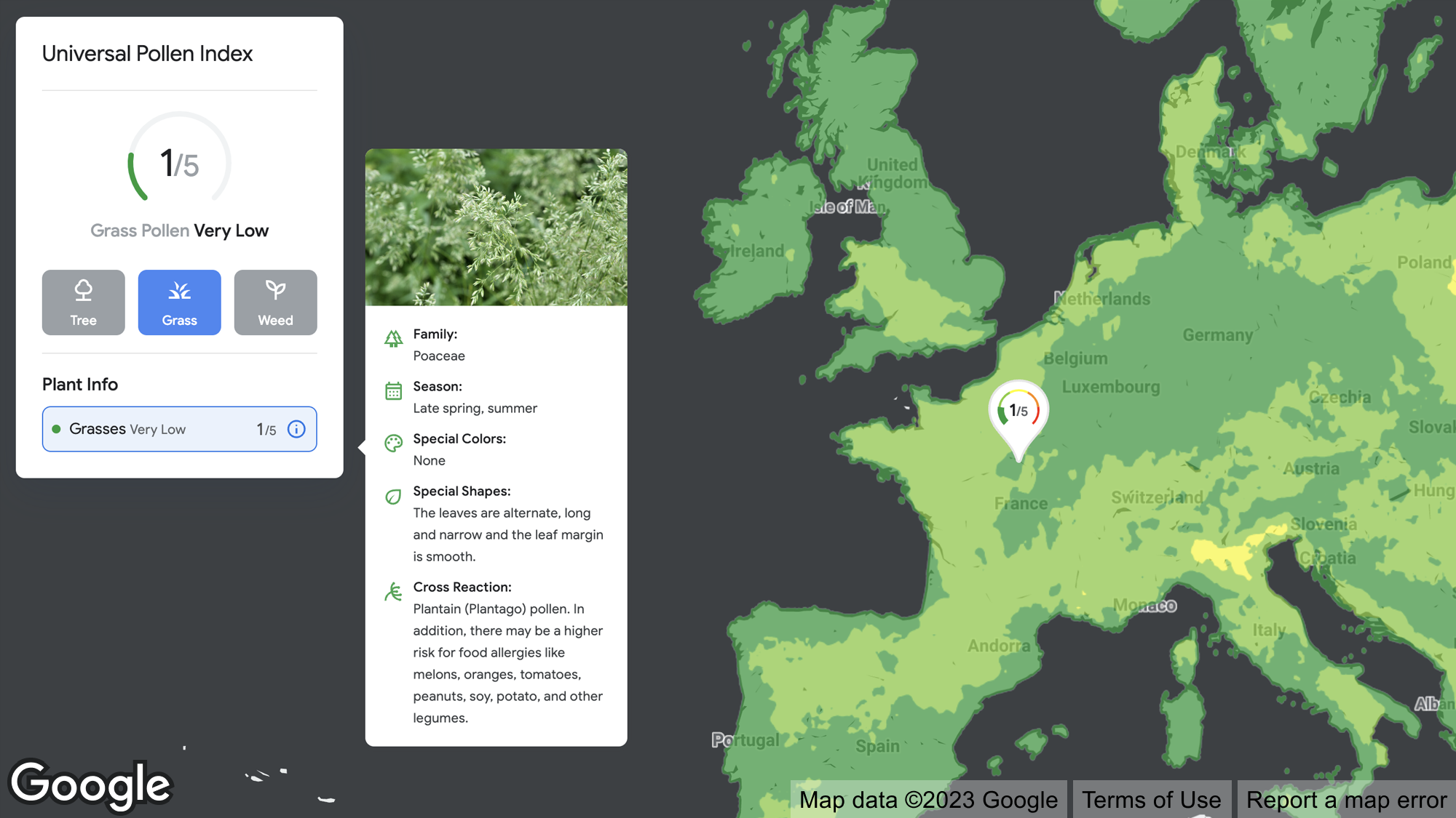 a snapshot of the pollen api tool in google maps