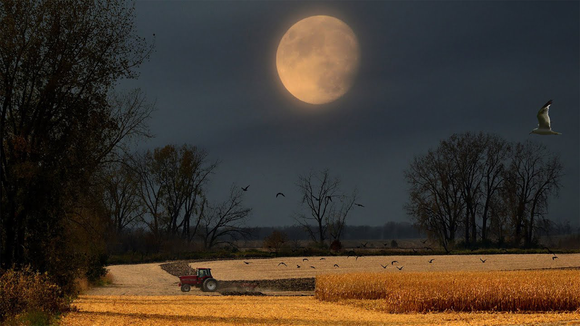 The Harvest Moon on October 1, 2020 over a field in Waseca, Minnesota.