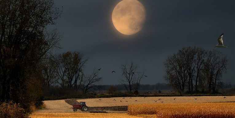September’s night sky will sparkle with the Harvest Moon and a newly discovered comet