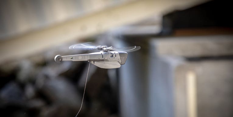 The US military’s tiniest drone feels like it flew straight out of a sci-fi film