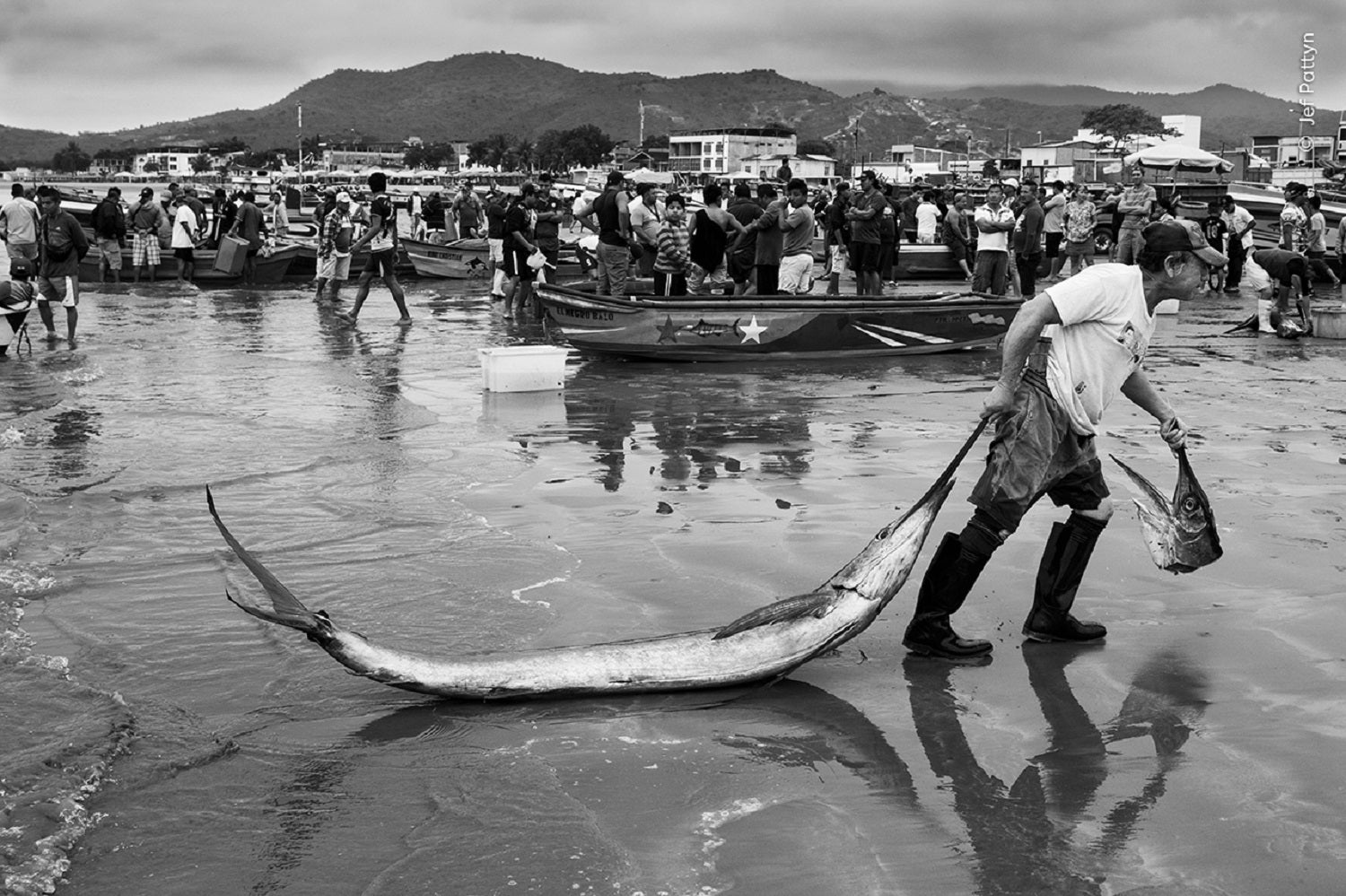 Fisher dragging swordfish across beach in black and white
