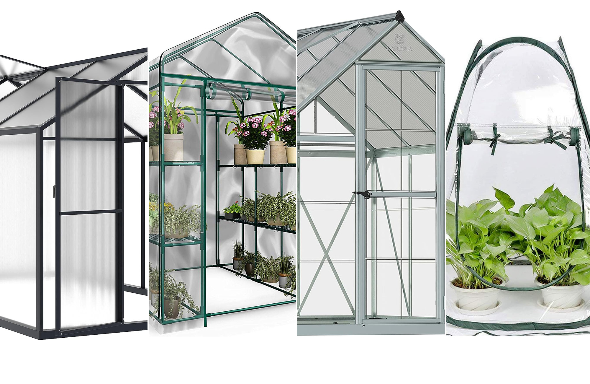 https://www.popsci.com/uploads/2023/09/12/best-greenhouses-main.jpg?auto=webp&width=1440&height=936