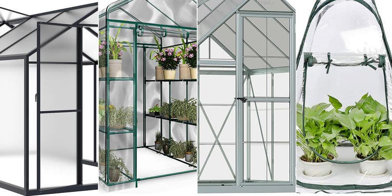 The best greenhouses for 2023