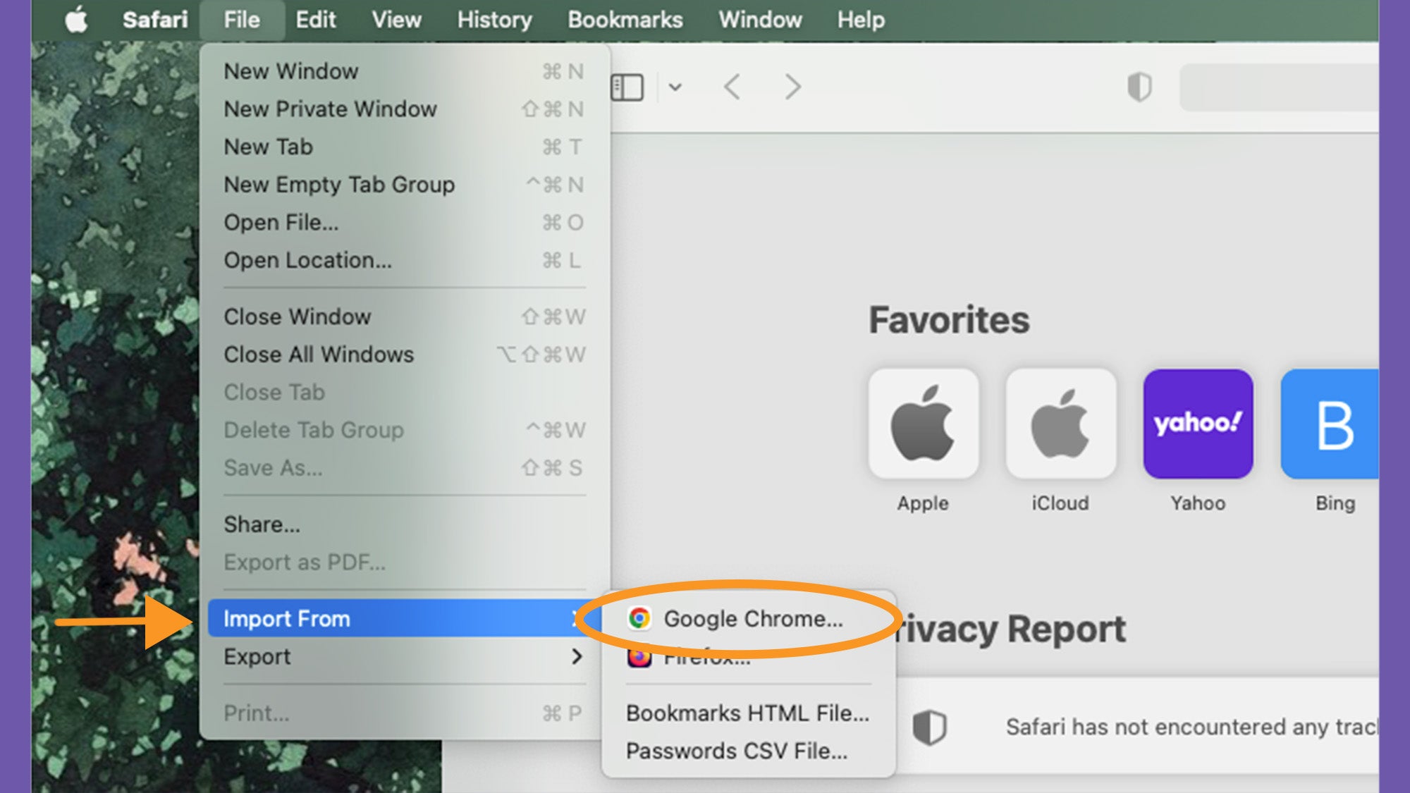 Safari settings to directly import Chrome bookmarks and other data