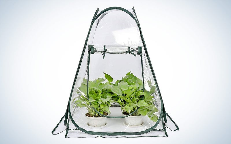 porayhut pop up greenhouse