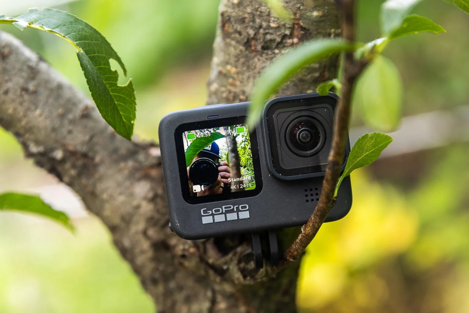 GoPro Hero9 camera in a tree