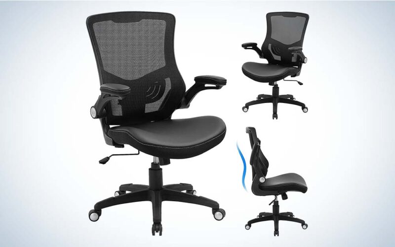 Which affordable home office chair has the best lower back support