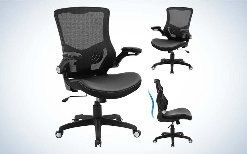 The X XISHE is a cheap desk chair that provides support for your back.