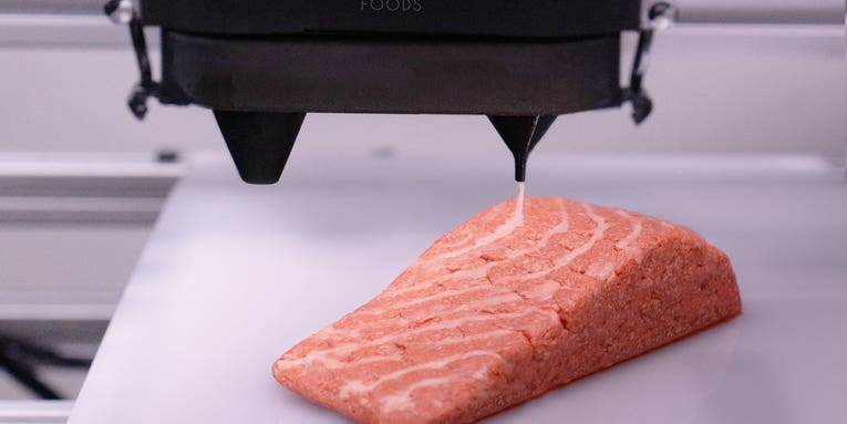 The world’s first 3D-printed salmon is hitting store shelves, and it looks kind of good