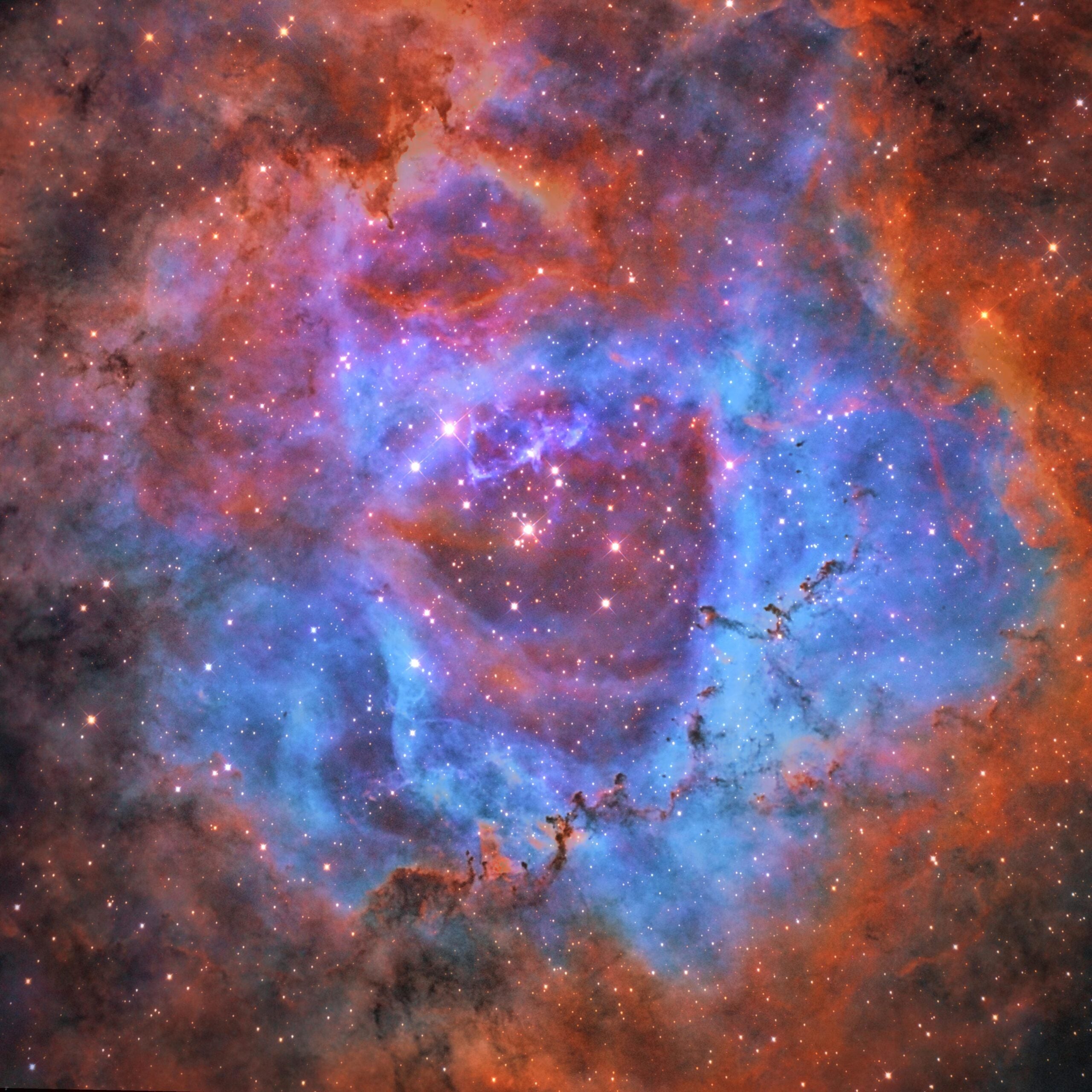 Red, purple, and blue Rosette Nebula dotted in stars