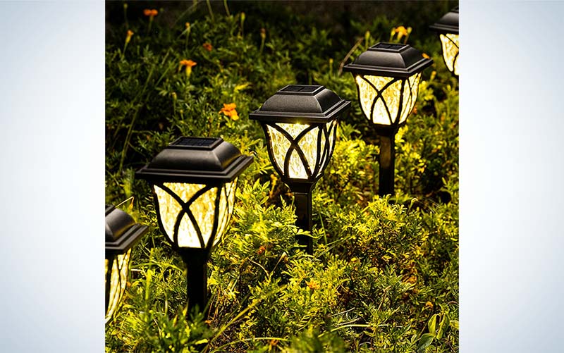 The best solar landscape lights of 2024 | Popular Science