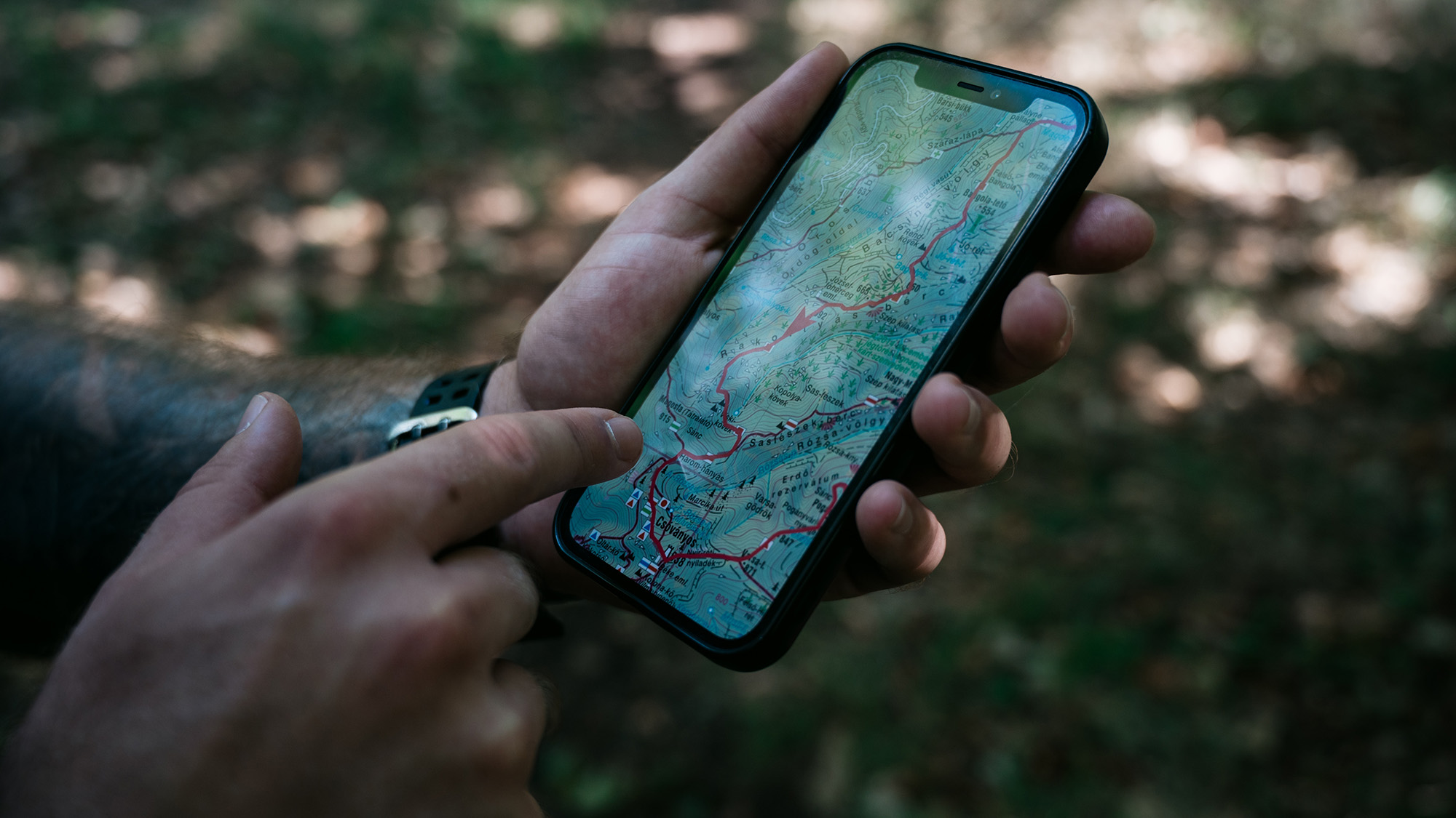 A person in the forest holding an iPhone with a map on its screen, potentially a situation where you'd want to share your location with someone else.