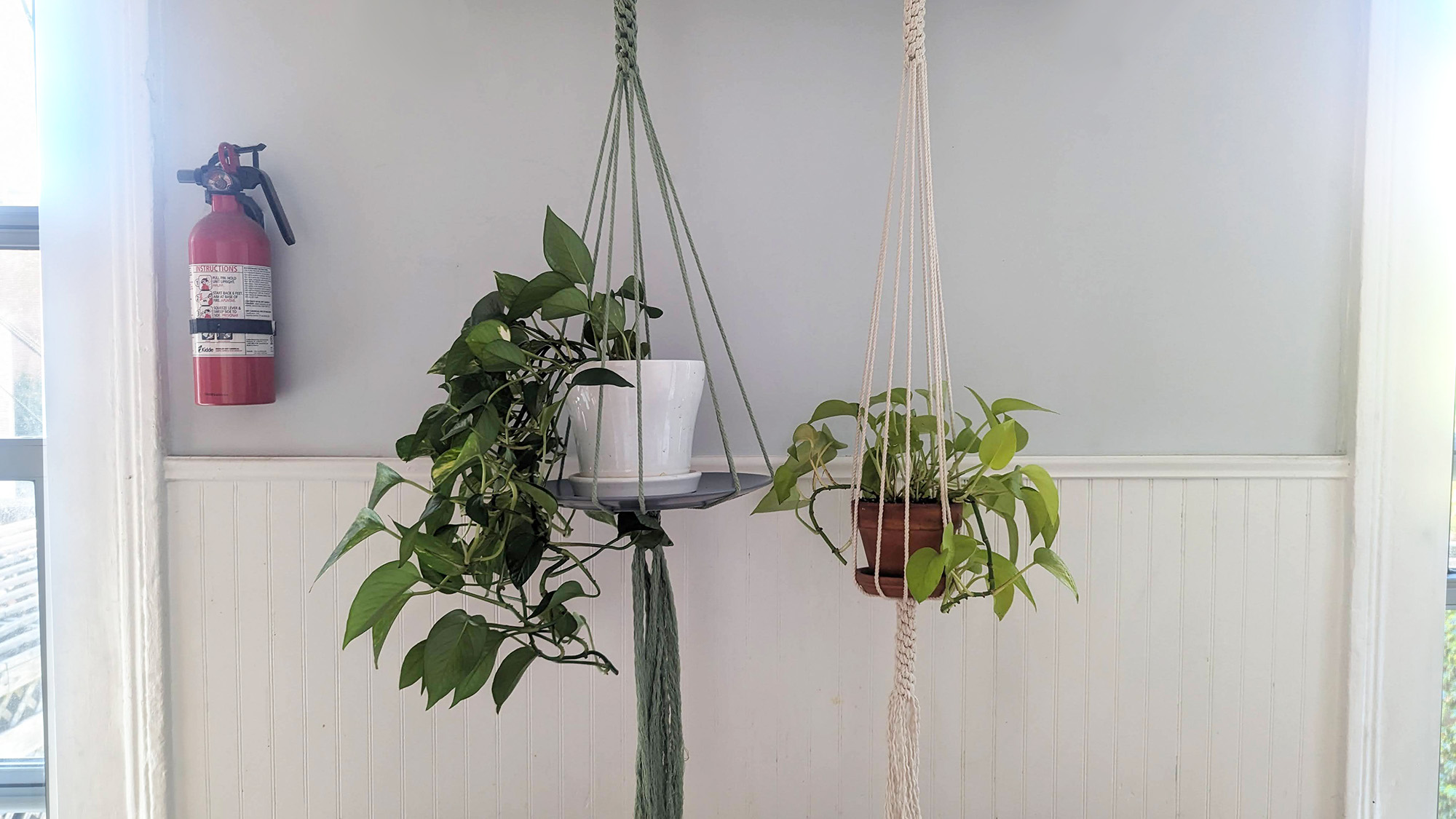 How to make an easy DIY hanging planter