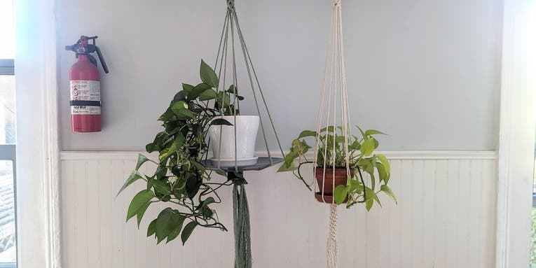 The easiest, most basic DIY plant hanger you can make