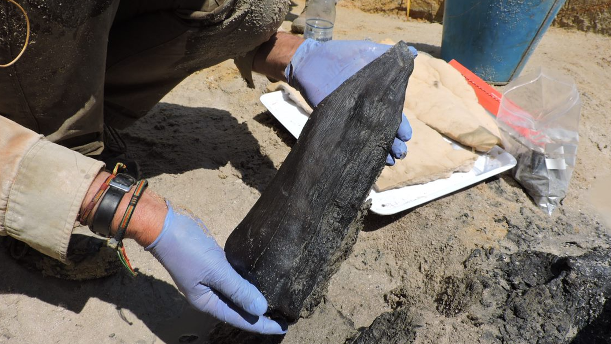 World's oldest known wooden structure found in Zambia