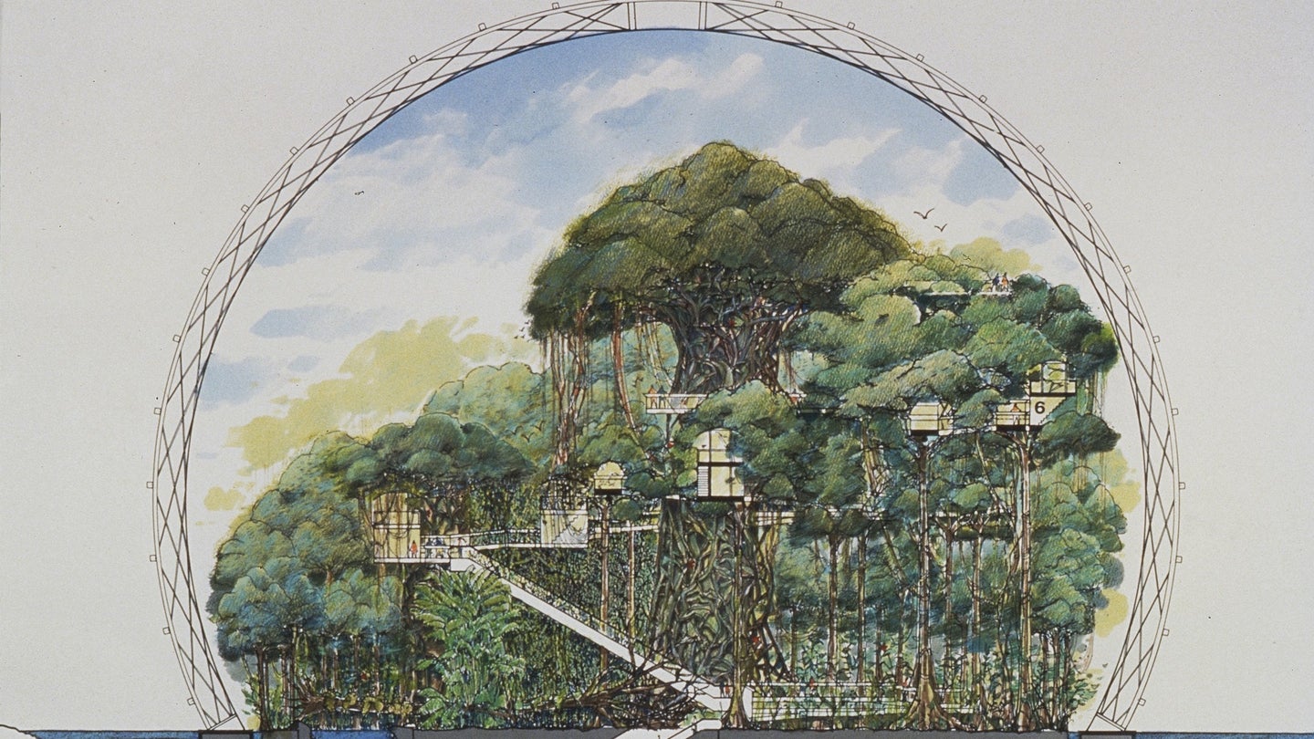 Drawing of the Tsuruhama Rain Forest Pavilion project in Osaka, Japan.