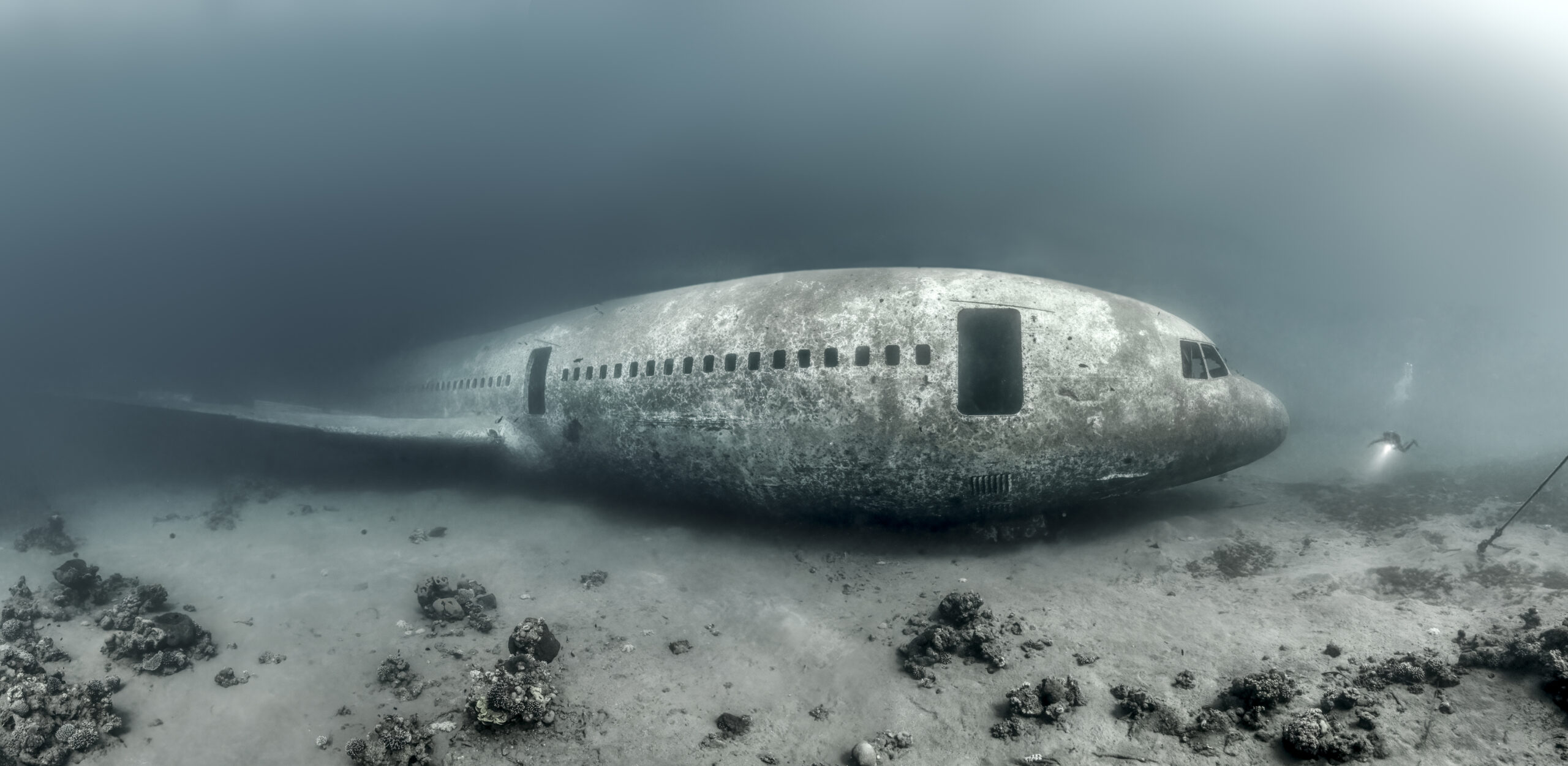 Scuba diver exploring sunken plane