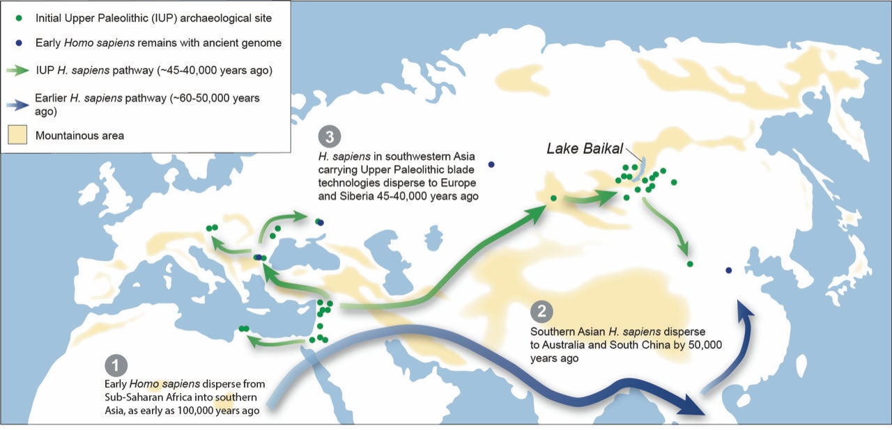Una mappa delle rotte migratorie teoriche del primo Homo sapiens dall'Africa attraverso l'Eurasia.  Credito: Ted Goble.