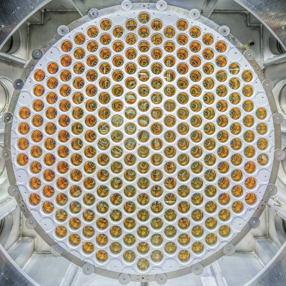 LZ Dark Matter detector with gold photomultipliers to depict what is matter