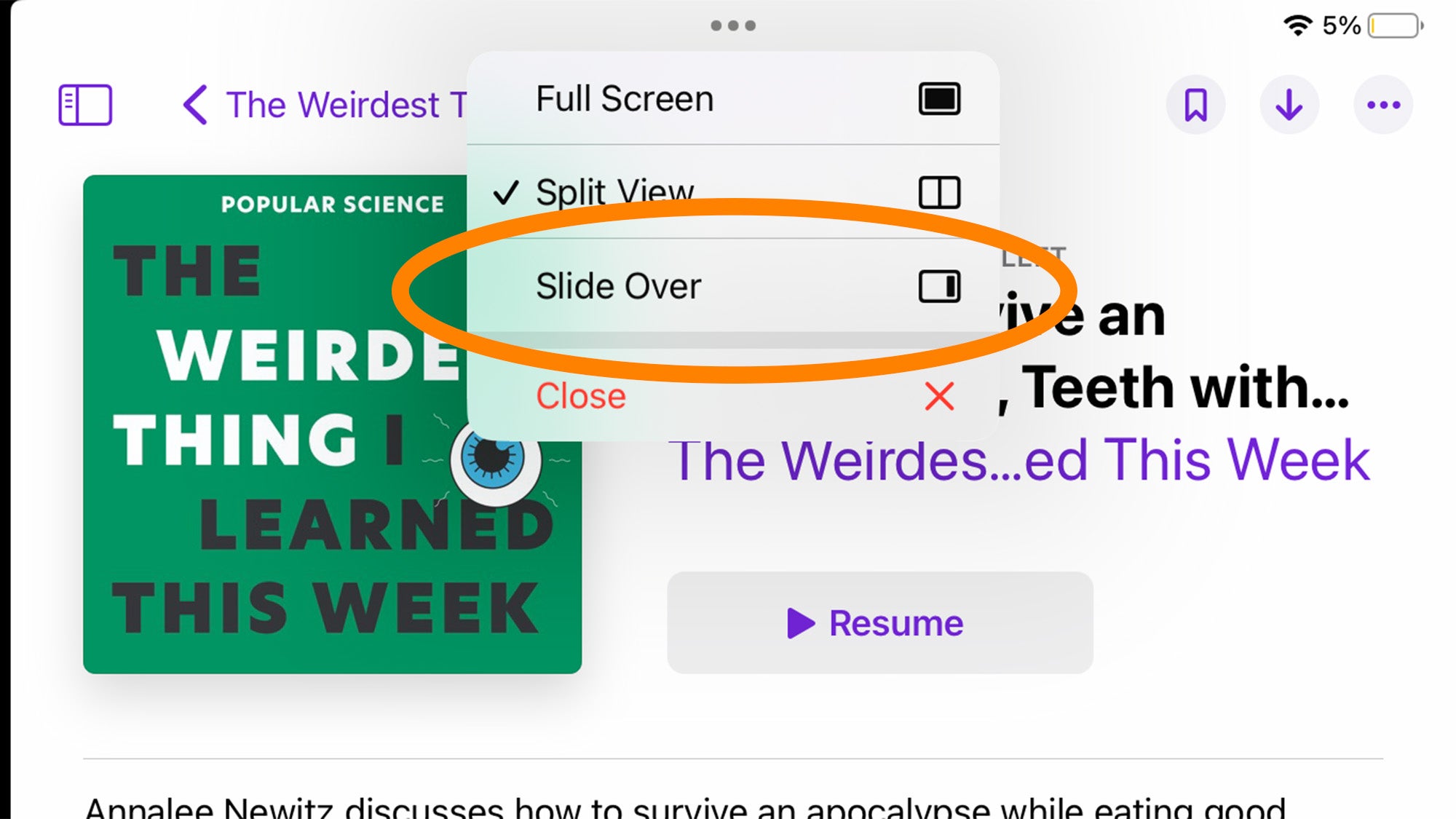 Slide over menu on iPadOS