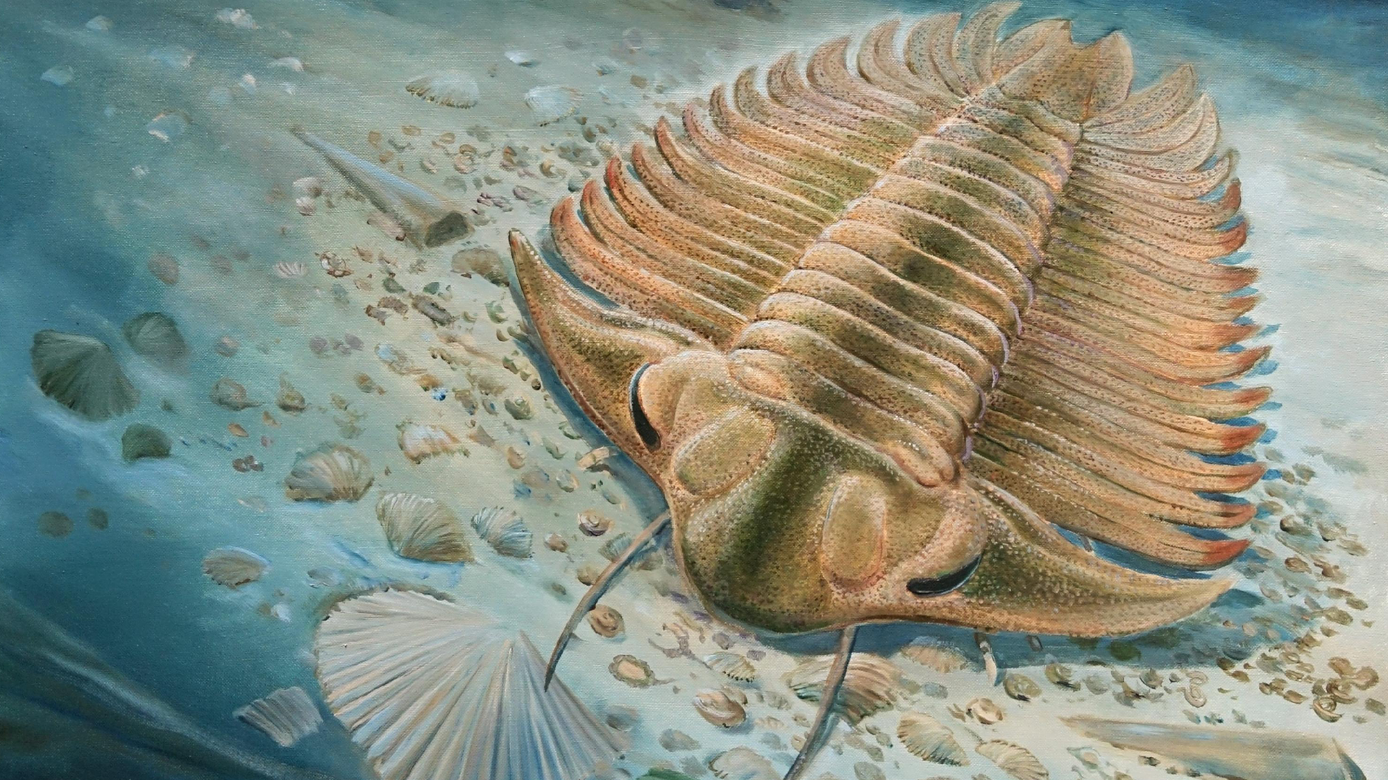 An illustration of Bohemolichas feeding on the seafloor, moments before it is engulfed, buried, and preserved by an underwater mud flow.