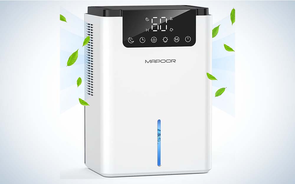 The Mapoor Dehumidifier for Basements is the best option that's budget-friendly.