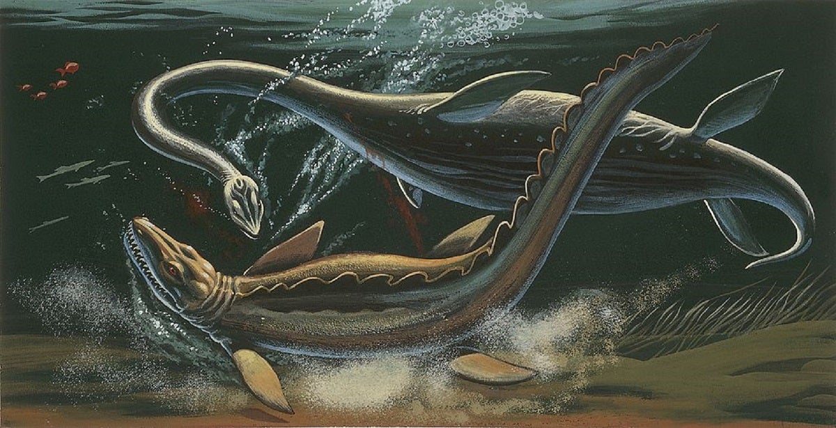Prehistoric predators fighting underwater. Illustration.