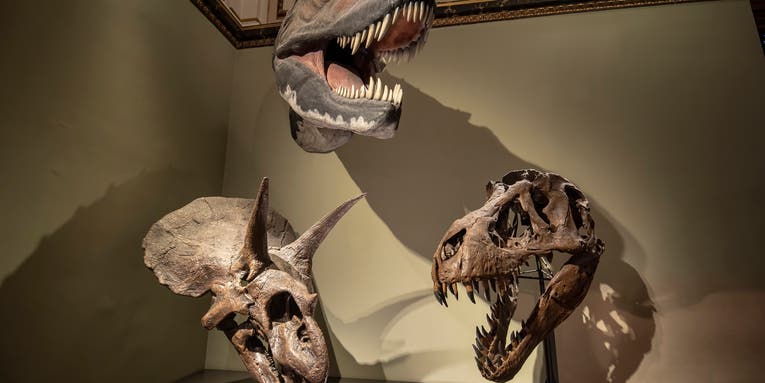 4 reasons dinosaurs never really ruled the Earth