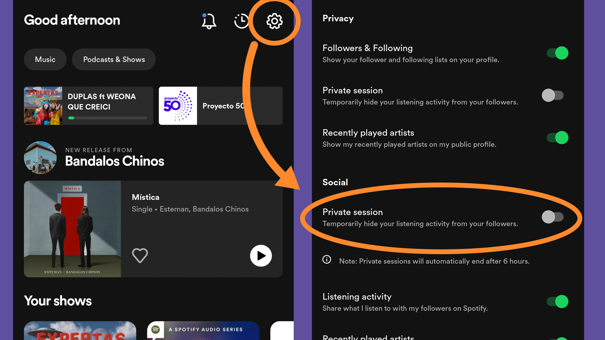 Spotify's private session settings