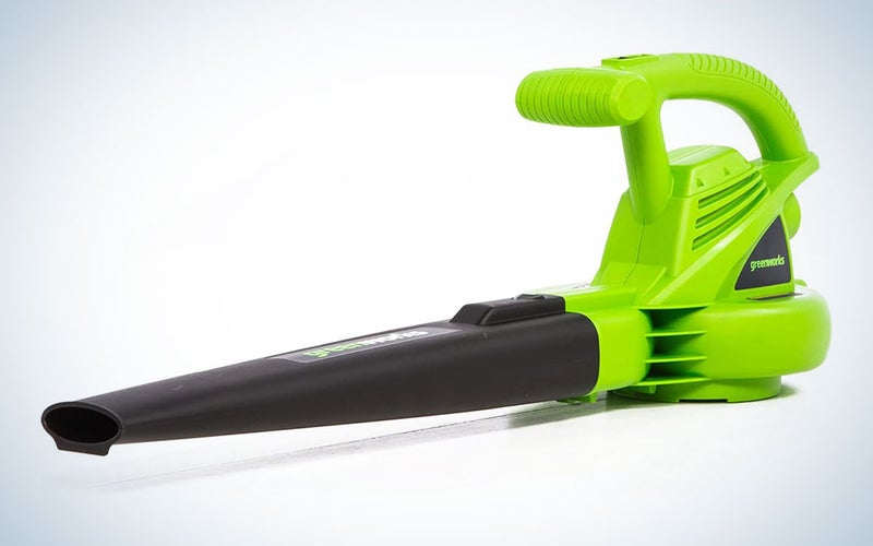 A Greenworks leafblower on a blue and white background