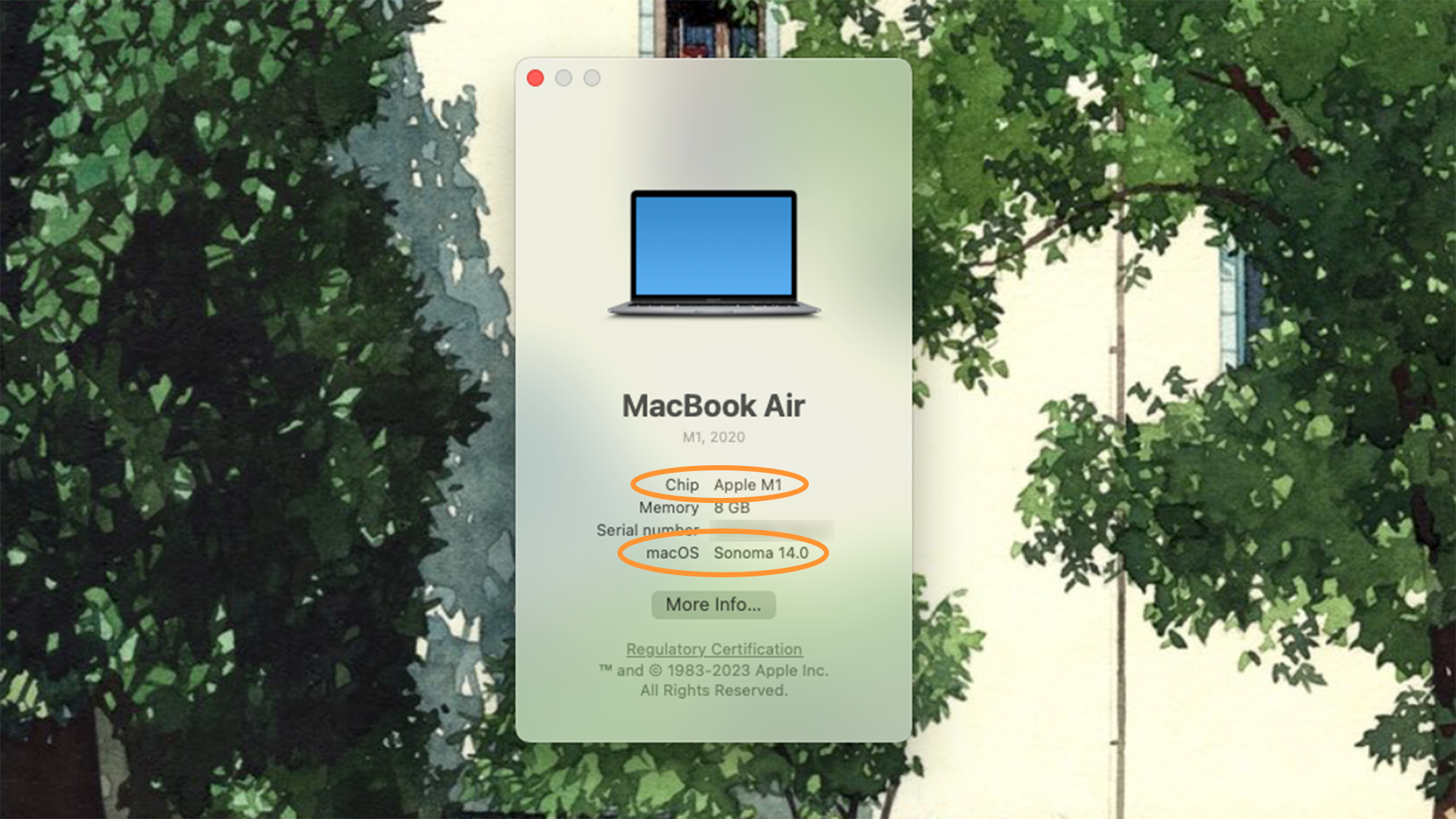 About this Mac information window