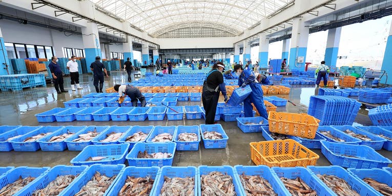 This nuclear byproduct is fueling debate over Fukushima’s seafood