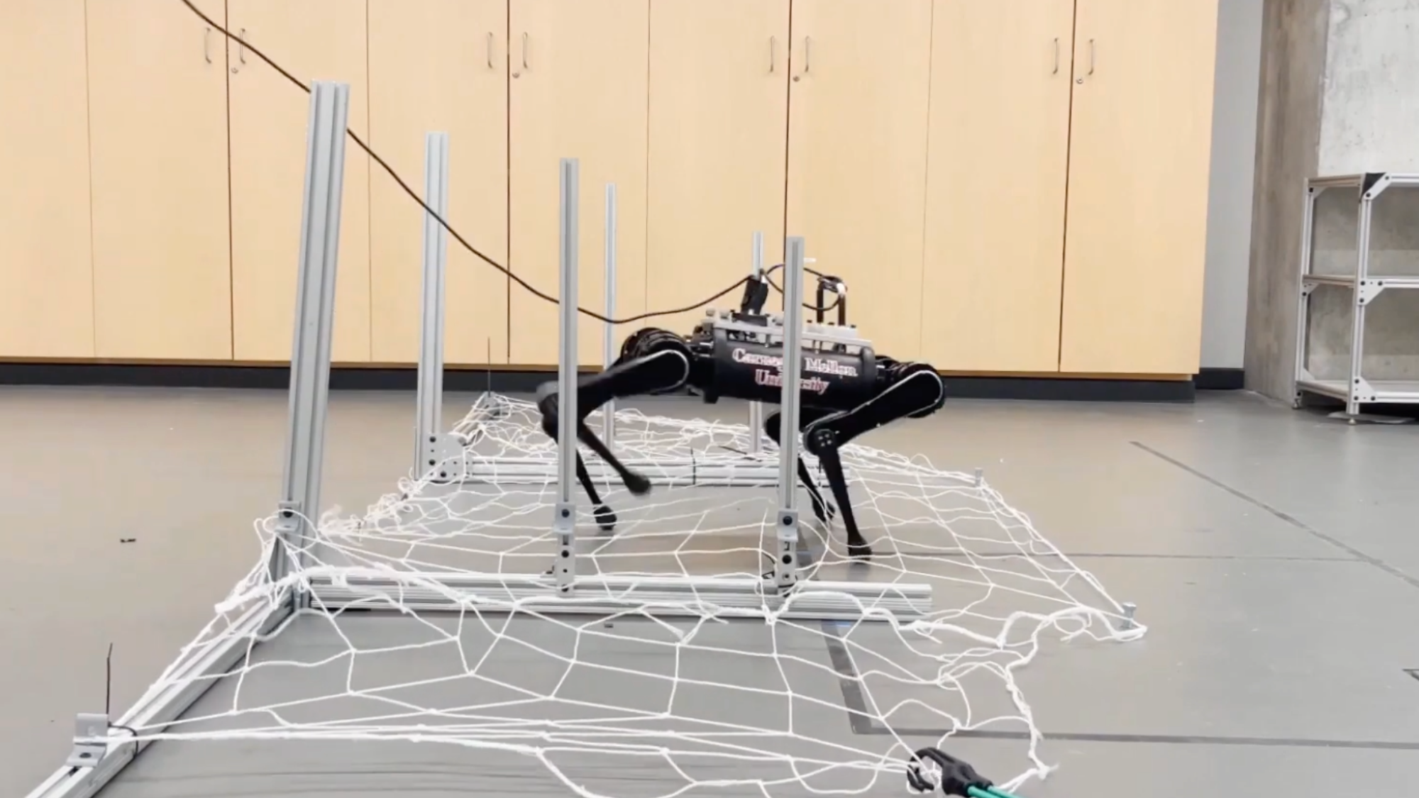 Watch robot dogs train on obstacle courses to avoid tripping
